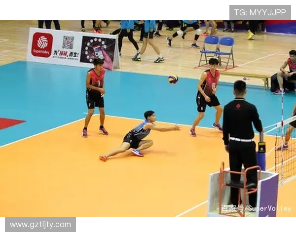 大学生体育专业排球联赛（中国大学生体协排球分会）sports